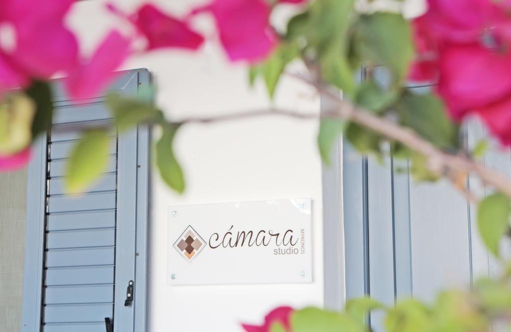 Camara Studio Mykonos Daire Ornos  Dış mekan fotoğraf
